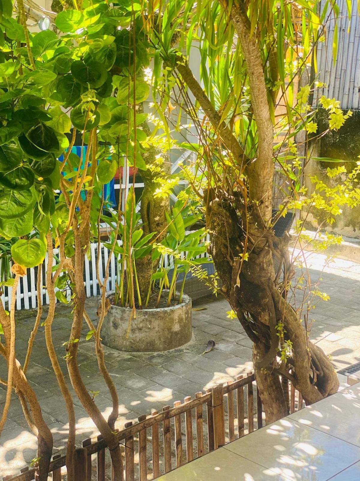Tarci Bungalows Lembongan Exterior photo
